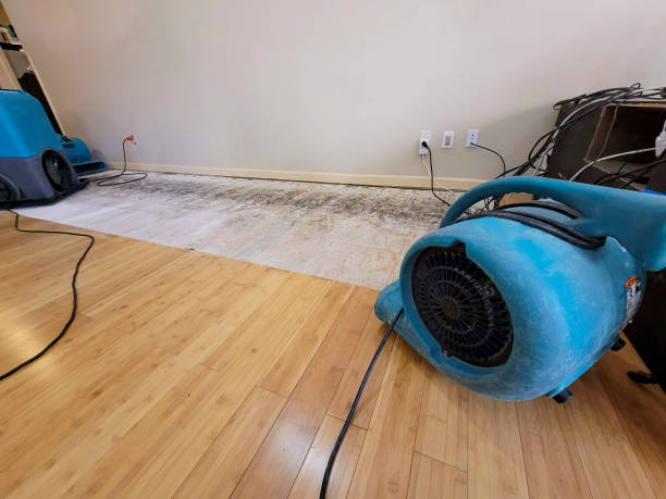 Professional Water Damage Repair technician working in Garnerville, NY